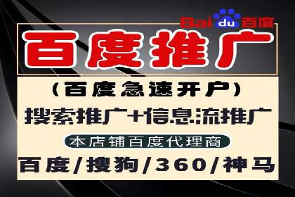 某公司SEM代理策略：实现流量转化