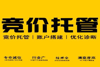 百度推广的精准营销案例解析